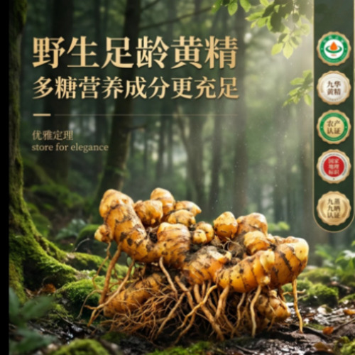 企业全栈式AIGC培训